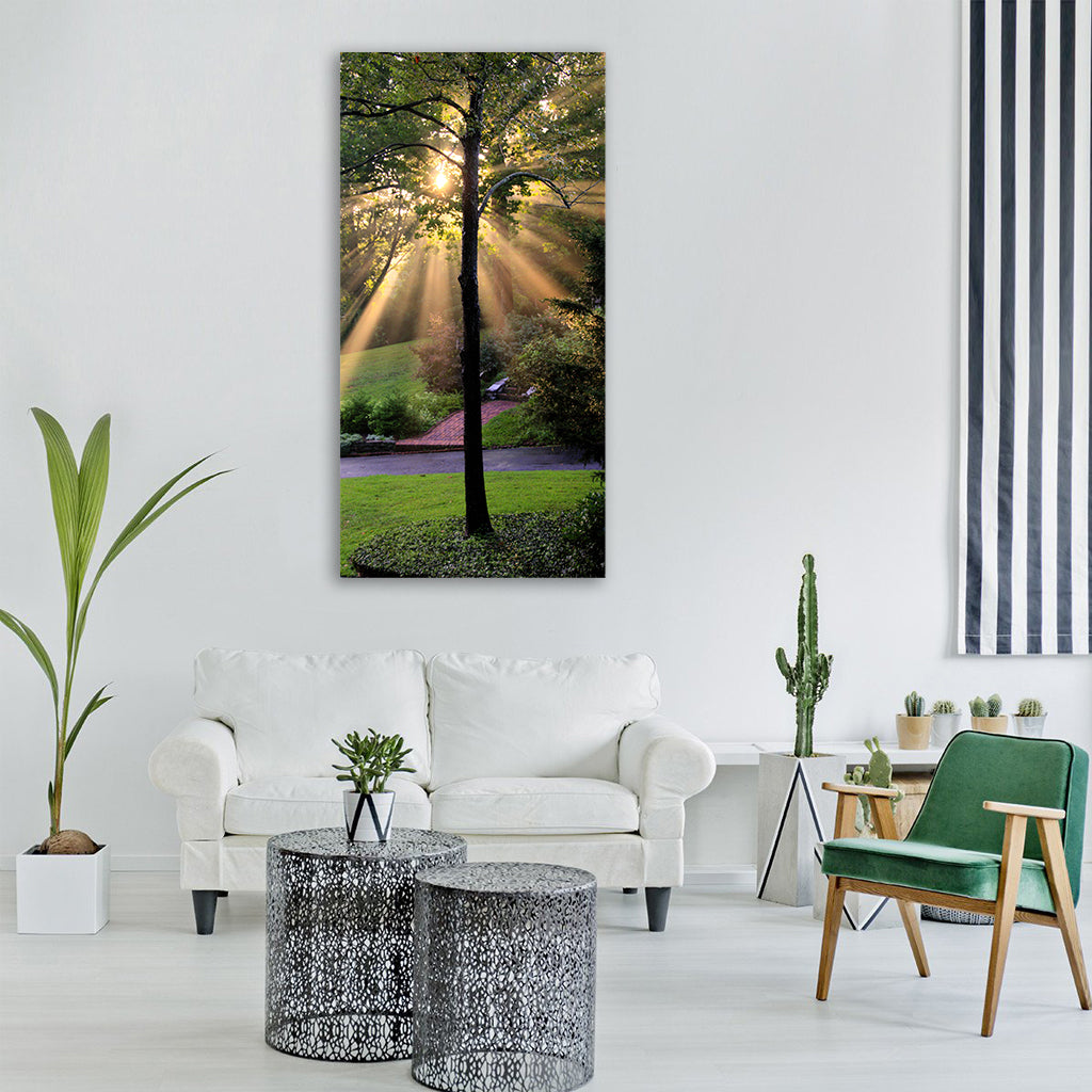 tree nature sun sunlight outside Vertical Canvas Wall Art