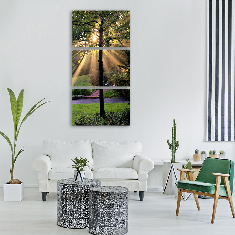 tree nature sun sunlight outside Vertical Canvas Wall Art