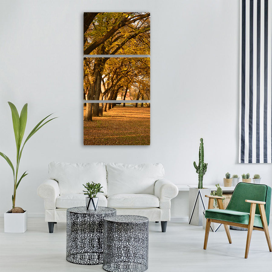 tree fall park leaf nature Vertical Canvas Wall Art