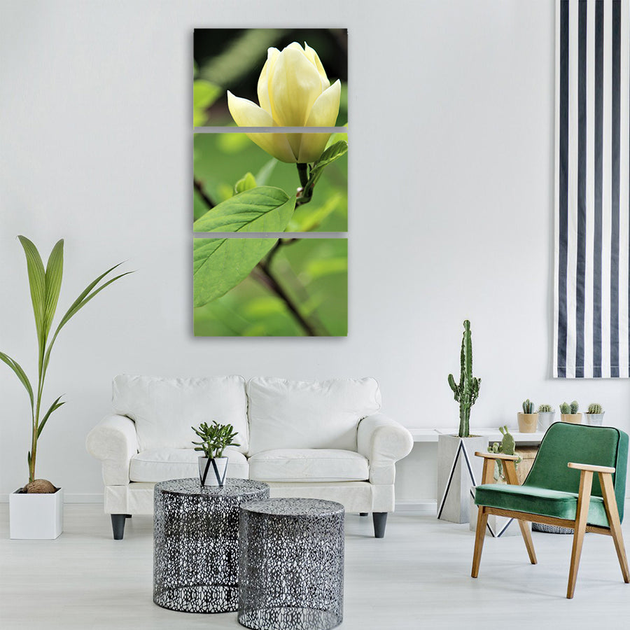 tree flower bloom nature flor Vertical Canvas Wall Art