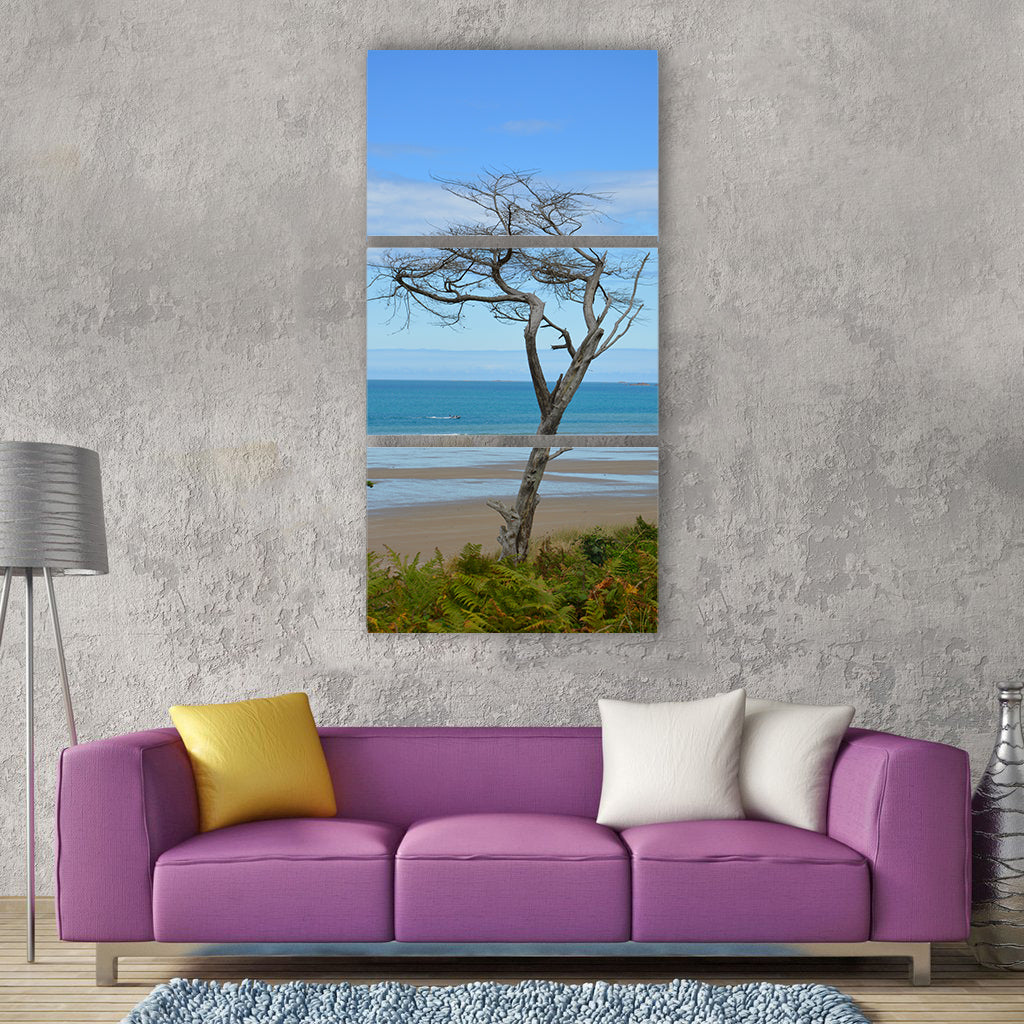 Tree dead tree still lifes seascape Vertical Canvas Wall Art