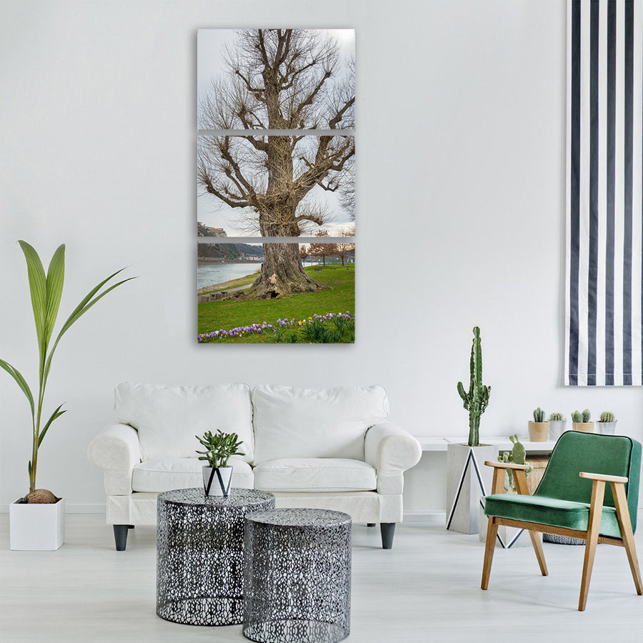 tree park rhine koblenz flowers Vertical Canvas Wall Art