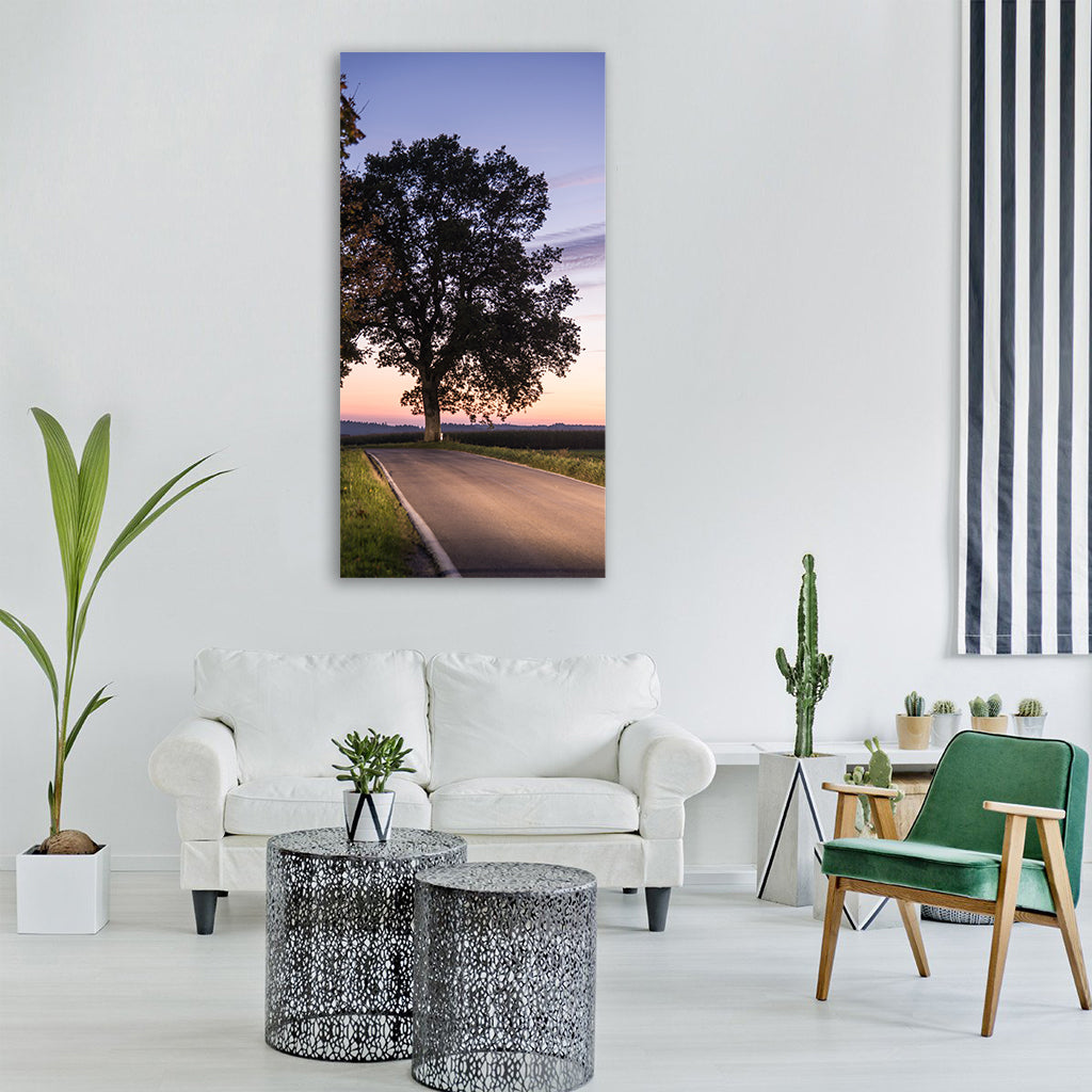 tree road sunset nature lichtspiel Vertical Canvas Wall Art