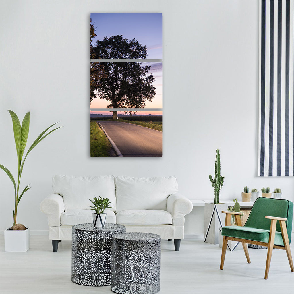 tree road sunset nature lichtspiel Vertical Canvas Wall Art