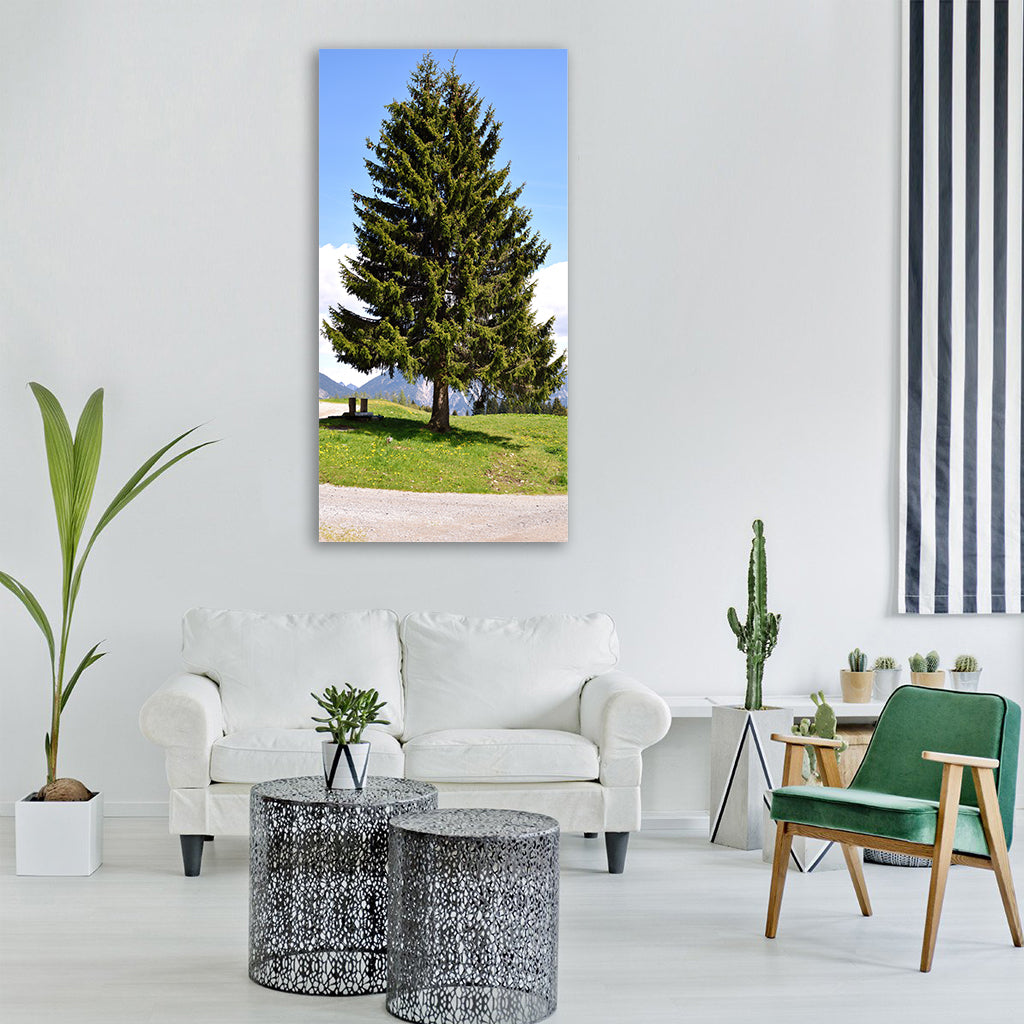 tree conifer fir tree landscape Vertical Canvas Wall Art