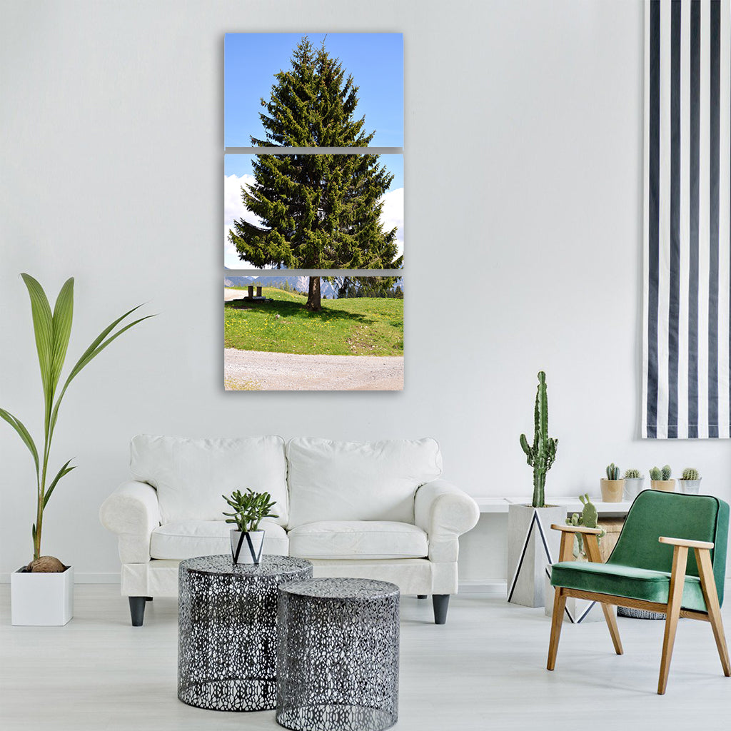 tree conifer fir tree landscape Vertical Canvas Wall Art