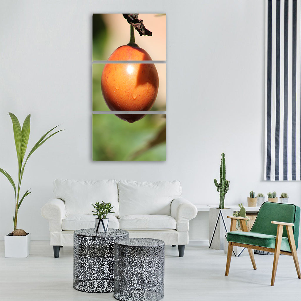 tree tomato tomato fruit tropical Vertical Canvas Wall Art