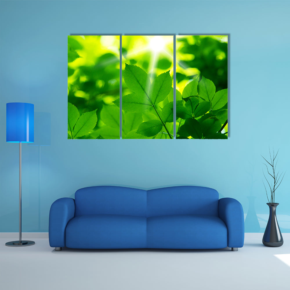 A Beautiful View Go Green Multi Panel Canvas Wall Art Set