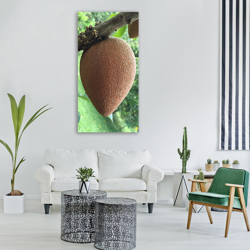 tropical apple sapote fruit Vertical Canvas Wall Art