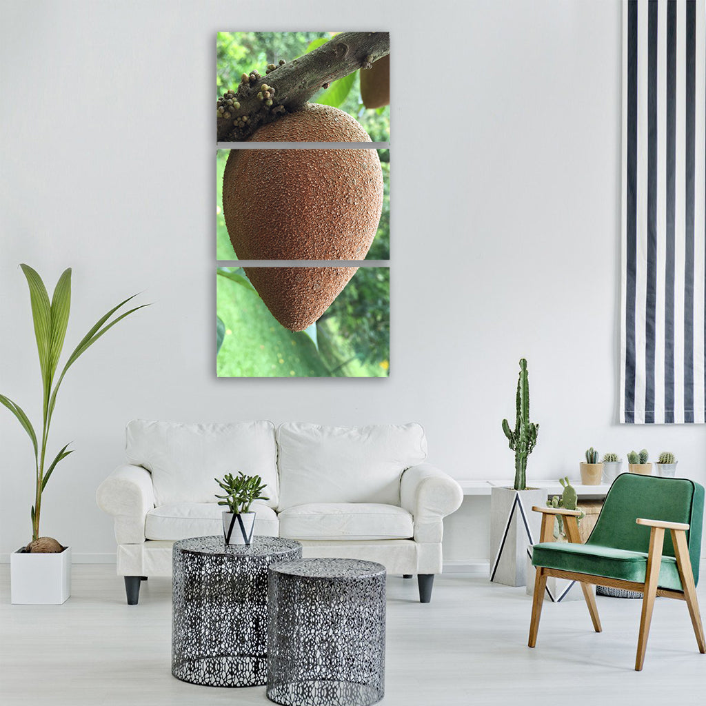 tropical apple sapote fruit Vertical Canvas Wall Art