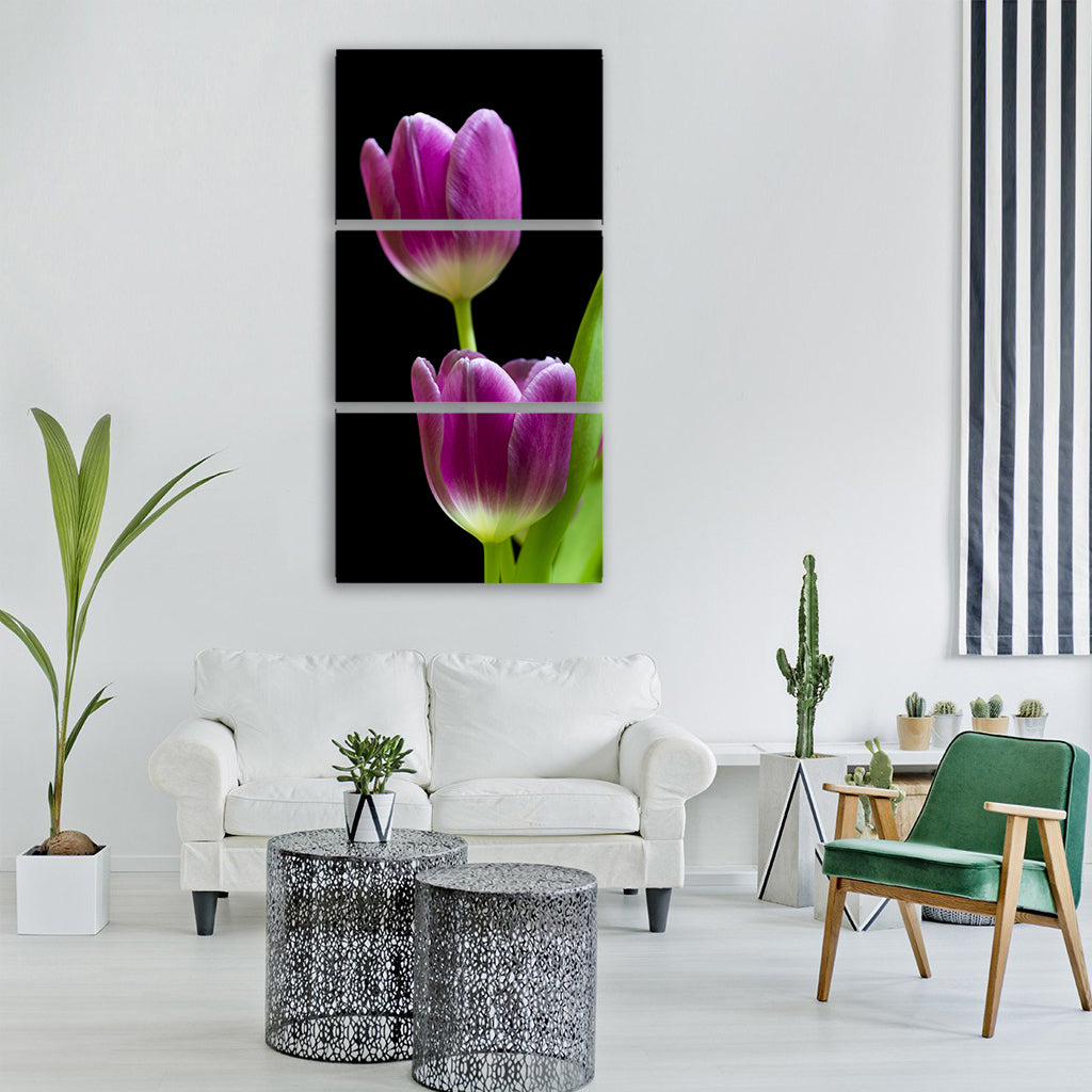 tulip flower tulips spring holland Vertical Canvas Wall Art