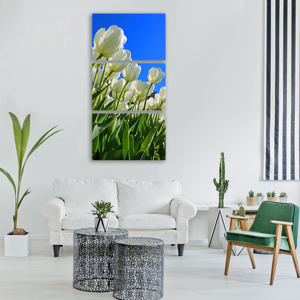 tulips white flower white flowers Vertical Canvas Wall Art