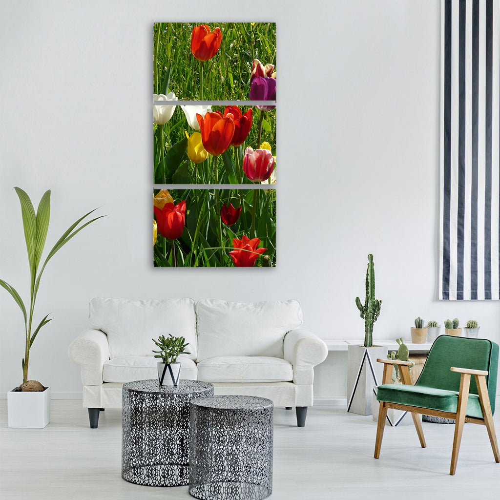 tulips colorful color spring light Vertical Canvas Wall Art