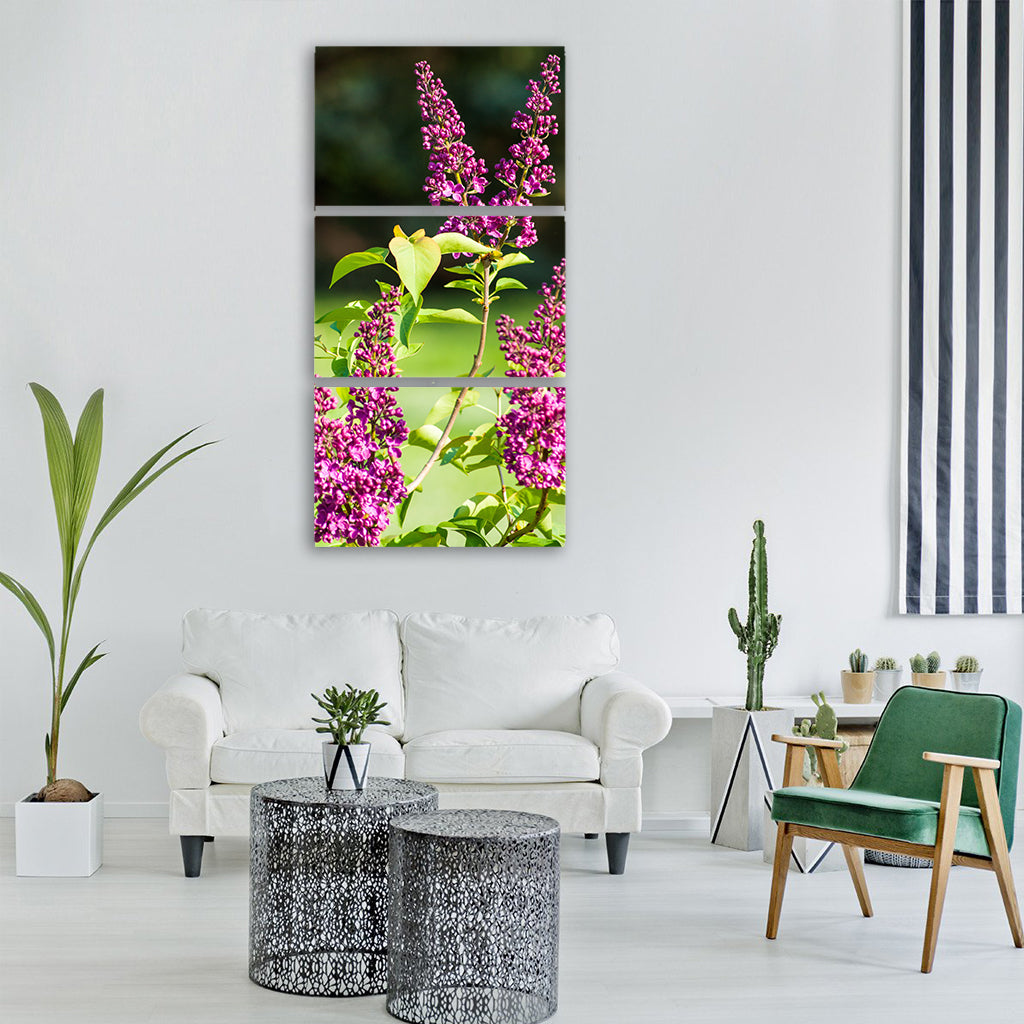 without lilac flower nature plant Vertical Canvas Wall Art