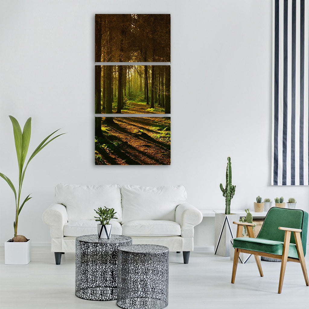 woods forest nature landscape tree Vertical Canvas Wall Art